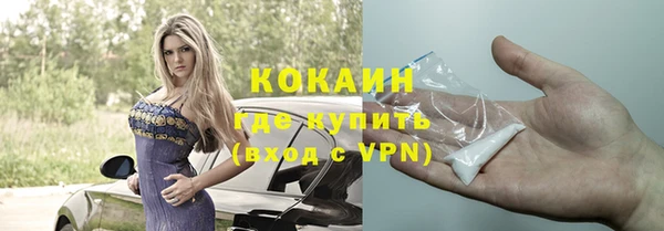 прущие грибы Тобольск