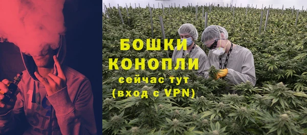 прущие грибы Тобольск